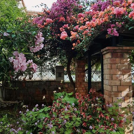 卡德哈米利Veneto'S Garden公寓 外观 照片