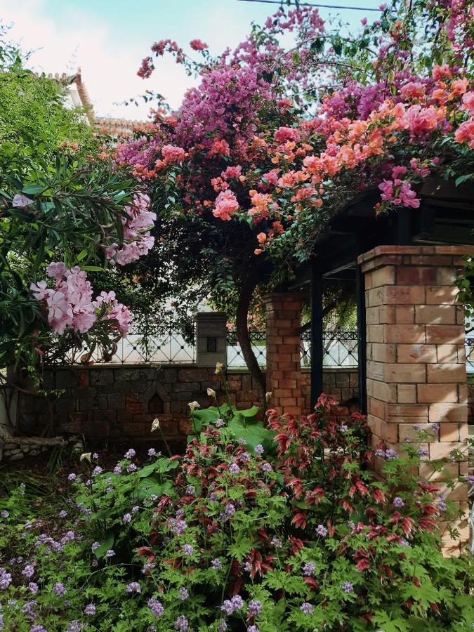 卡德哈米利Veneto'S Garden公寓 外观 照片