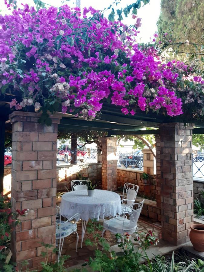 卡德哈米利Veneto'S Garden公寓 外观 照片